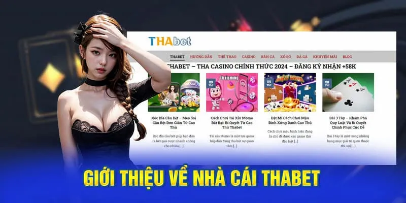 Giới thiệu đôi nét về nhà cái